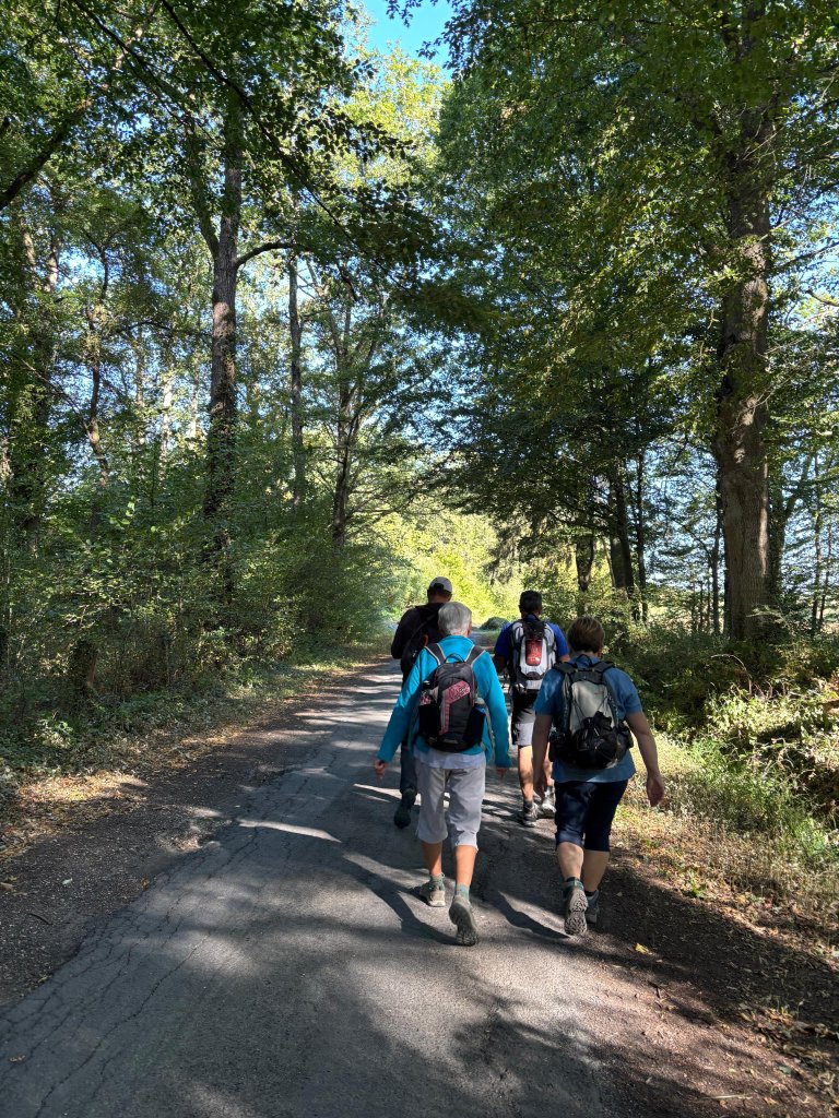 Photo du groupe marchant sur un chemin et entouré d'arbres